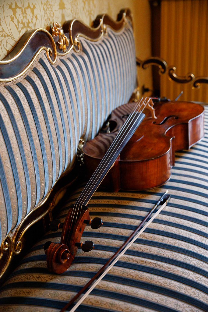 A historical Italian cello at rest